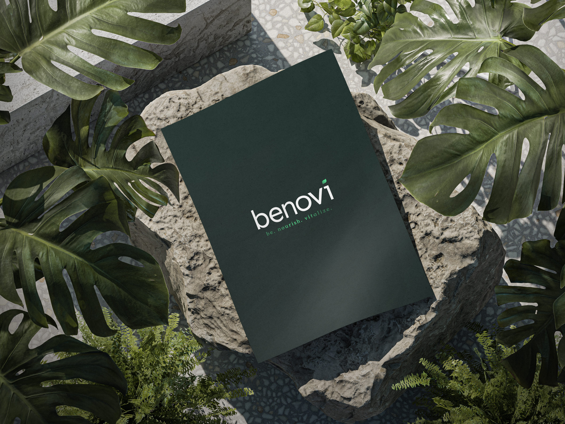 portfolio-benovi-01