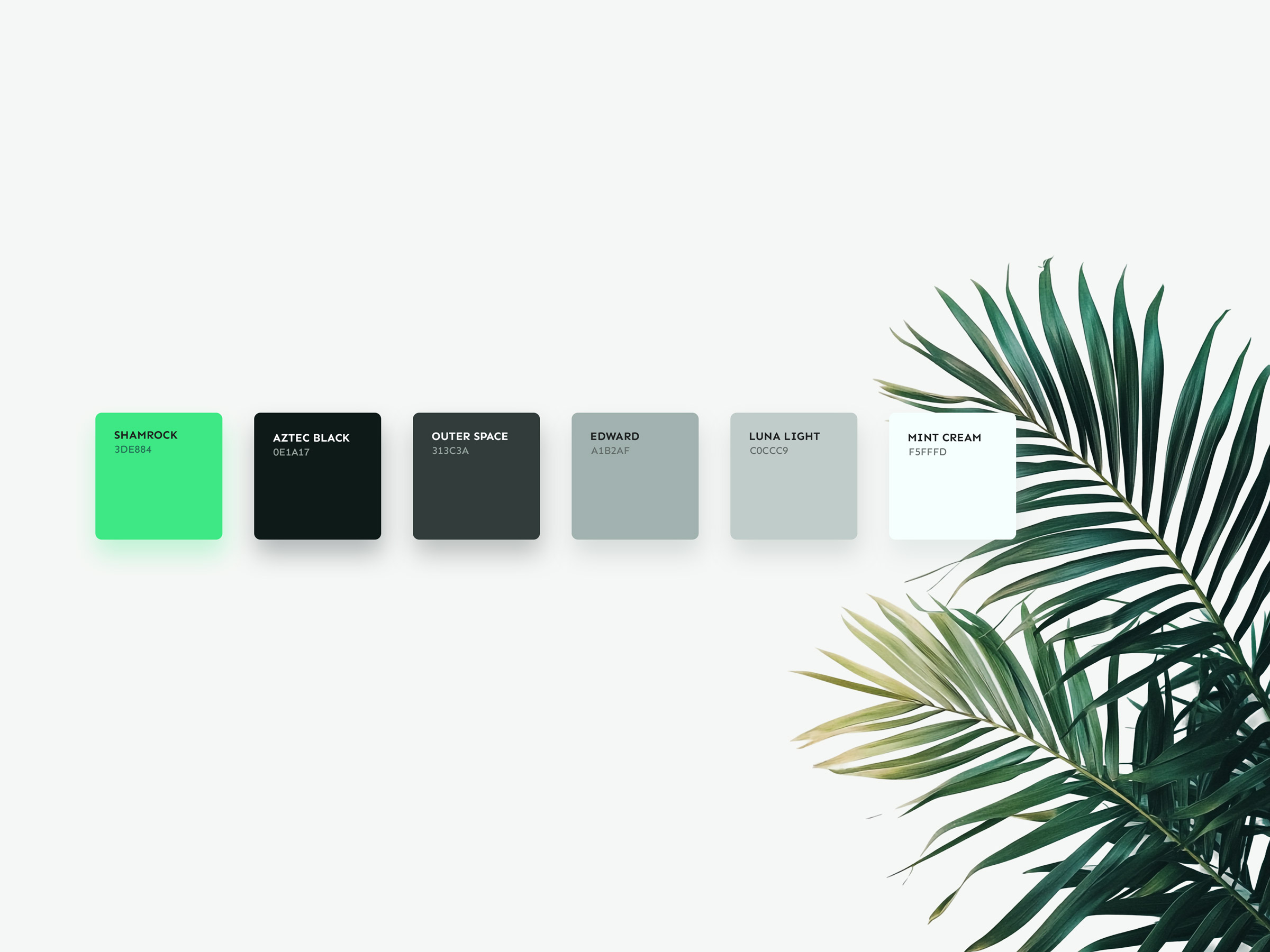 portfolio-benovi-06