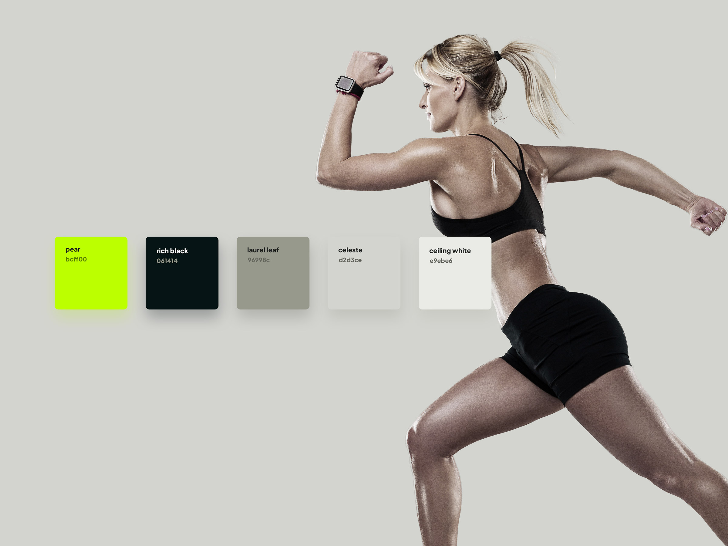 portfolio-titan-08-f844